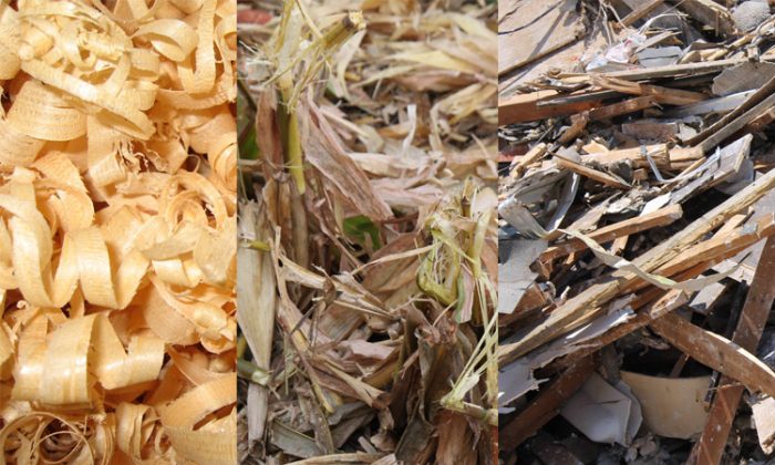 raw-materials-of-biomass-pelletizing-plant-gemco-energy